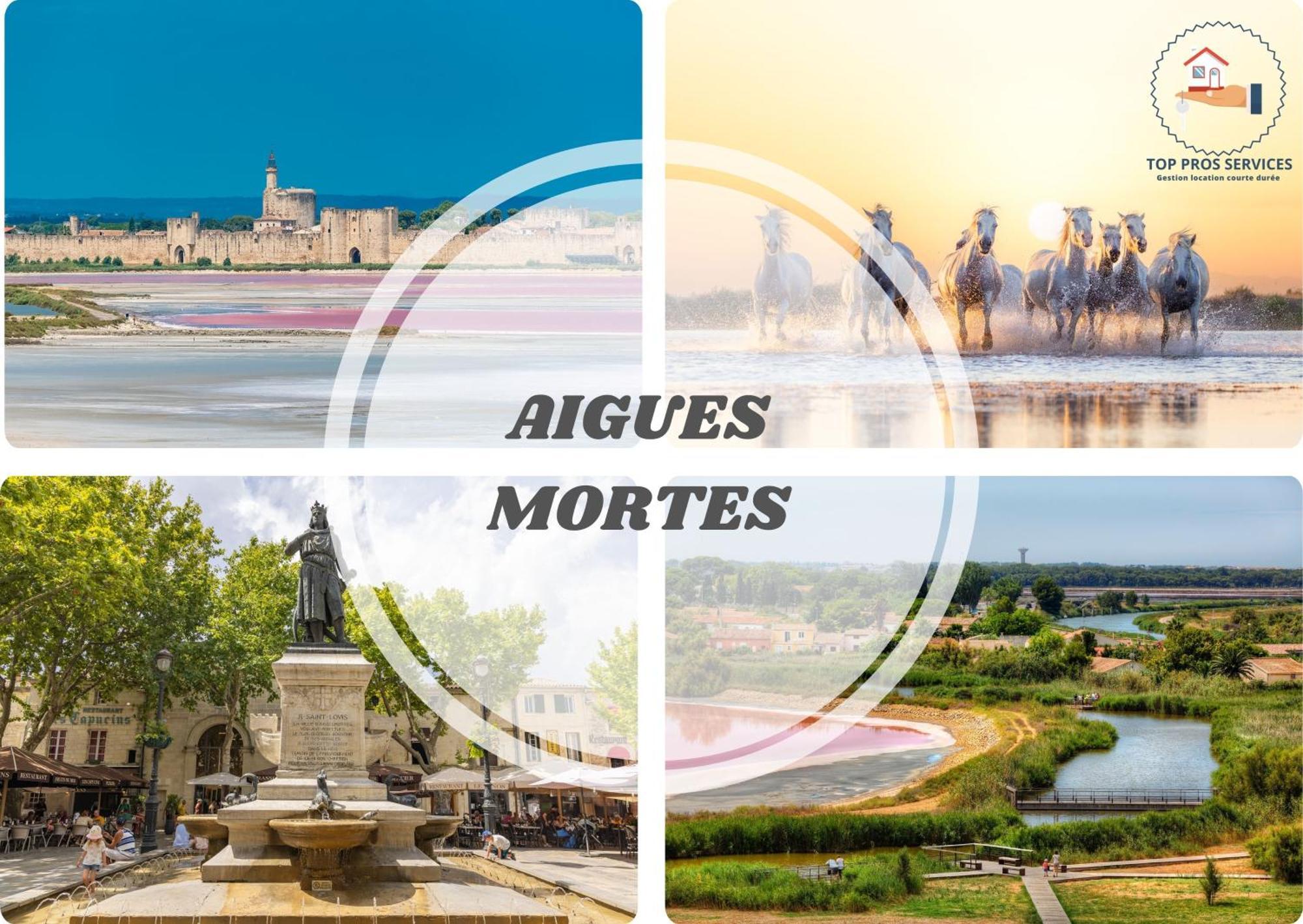 Villa Sunny Beach Clim Acces Plage Parking Famille - Topprosconciergerie Ла-Гранд-Мот Экстерьер фото